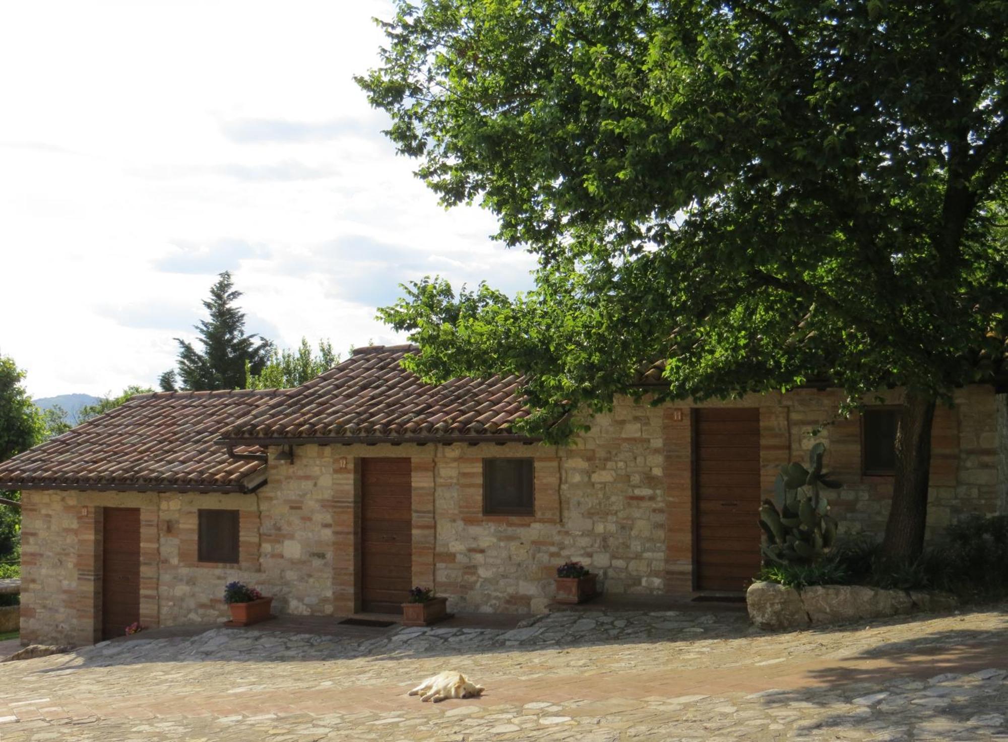 Agriturismo Casale Delle Lucrezie Todi Exterior foto